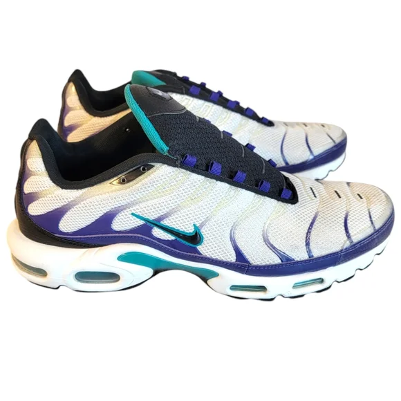 Nike Air Max Grape WHITE/GRAPE ICE Men's Size 13 Charlotte HornetsVibes